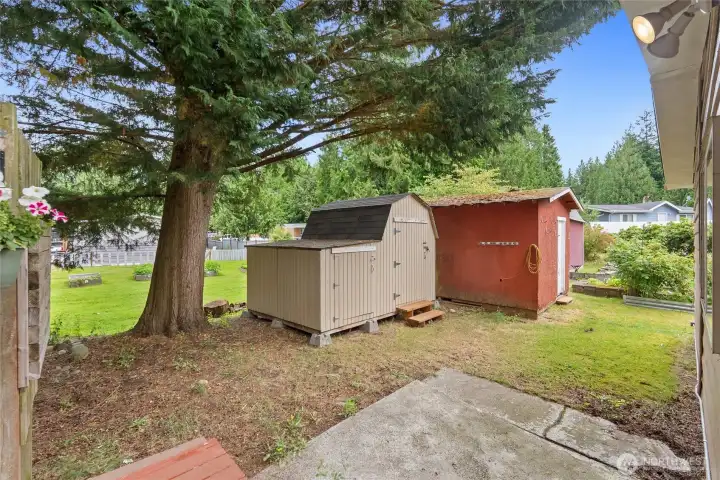 Sheds Sheds