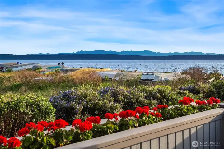 Breathtaking sunsets, Olympic mountain vies and ever changing marine panorama. Breathtaking sunsets, Olympic mountain vies and ever changing marine panorama.