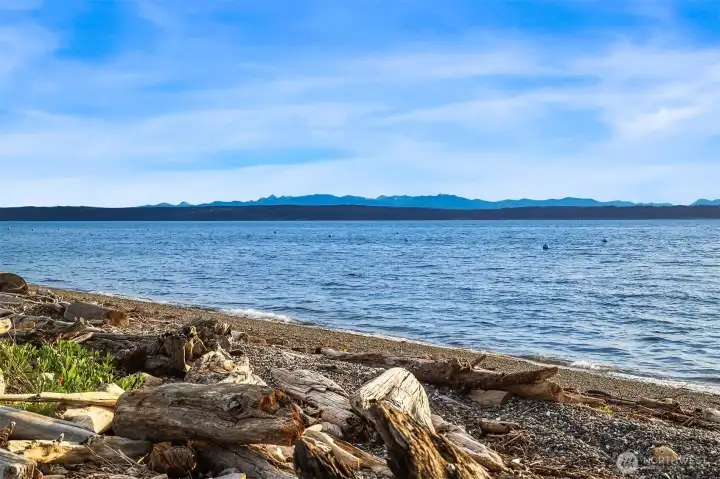 Level access beachfront property with tideland ownership. Level access beachfront property with tideland ownership.