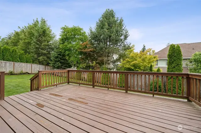 Large deck just off the kitchen overlooks almost 1/4 acre lot & plenty of room to play.
