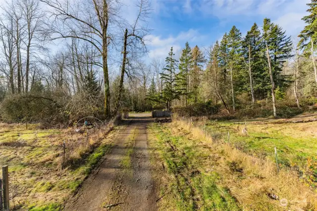 Driveway on the North End of the property.