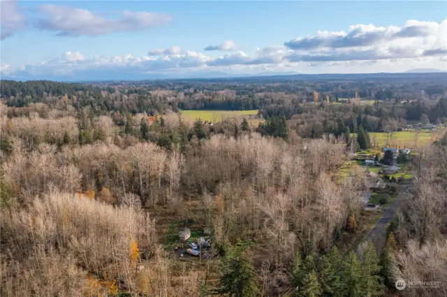 Ideal build site tucked in to the trees.