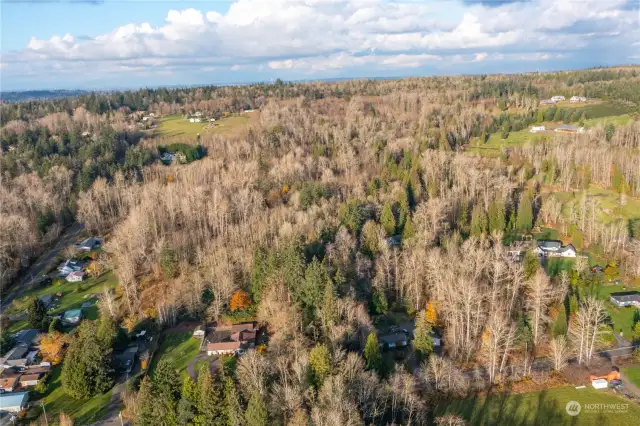 Aerial Photo looking from the south end of the property up to the North.