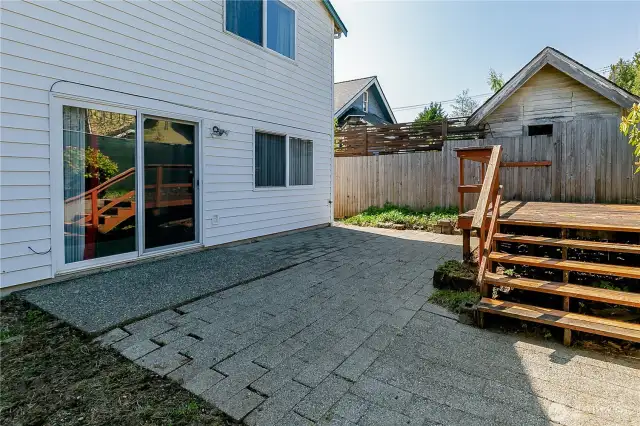 backyard2