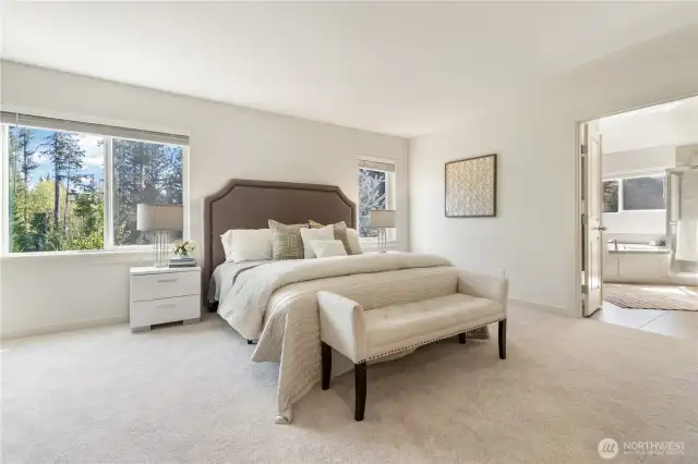 Master bedroom back to the private back yard and overlook the green belt.