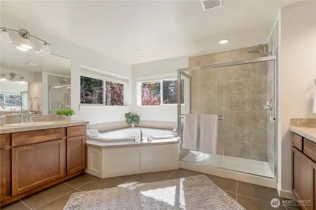5-Piece Master Bath and over sized walk-in Closet