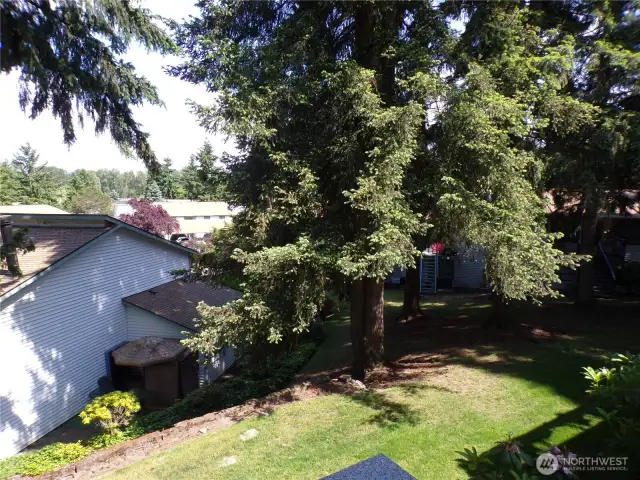 view from deck