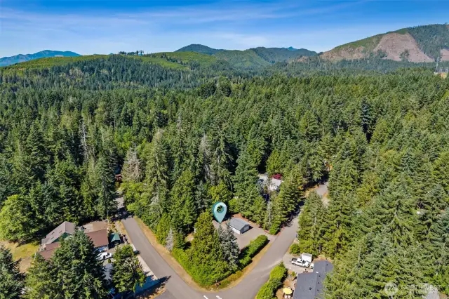 Aerial view showing proximity to N Union Dr. and N Duckabush Dr.