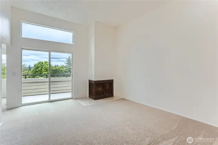 Wood burning fireplace