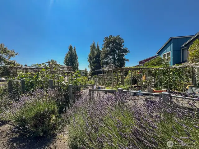 Close to West Seattle amenities and the airport