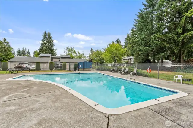 A closer look at the pool and surrounding patio area.
