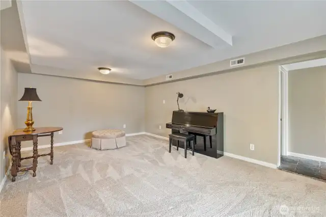 One more look at this bonus room.