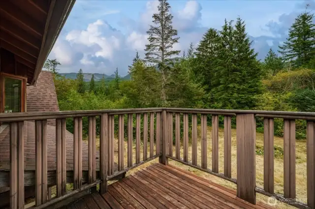 Imagine waking up these views from the balcony off your primary bedroom