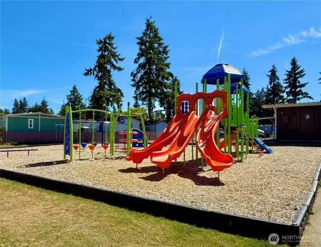 Community Playground