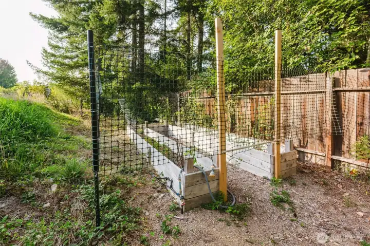 Garden beds, cherry & apple trees that produce!