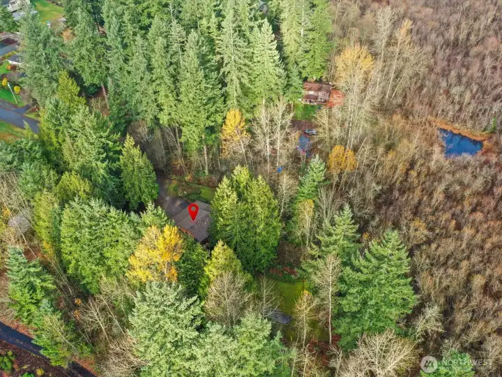 Not a cookie cutter neighborhood