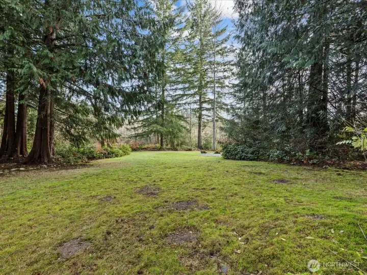 Live in the forest not in the city