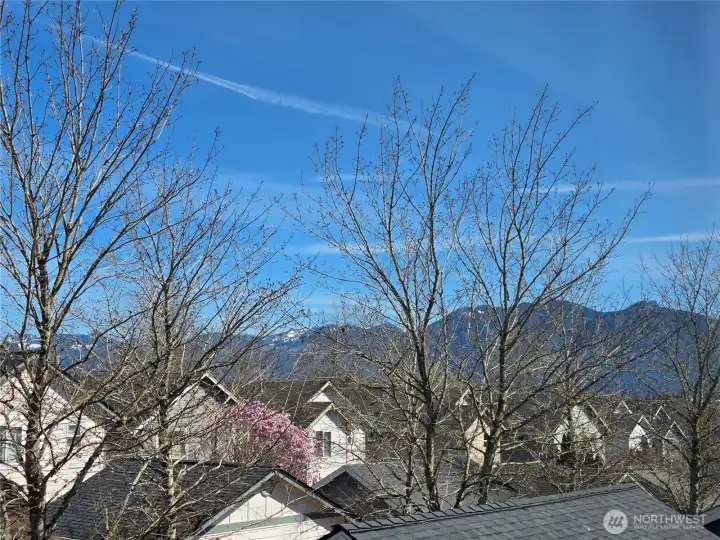 View from the primary Bedroom.