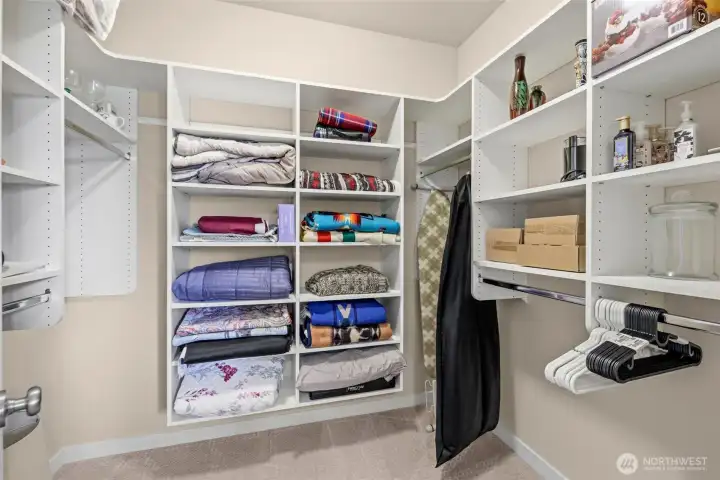 Walk in closet off lower level bedroom.