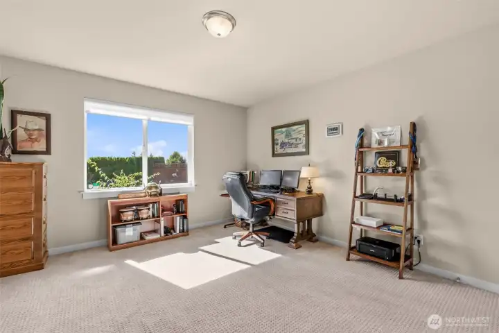 Office or additional lower level bedroom.