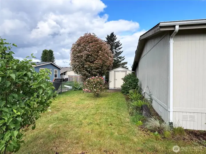 Spacious yard space