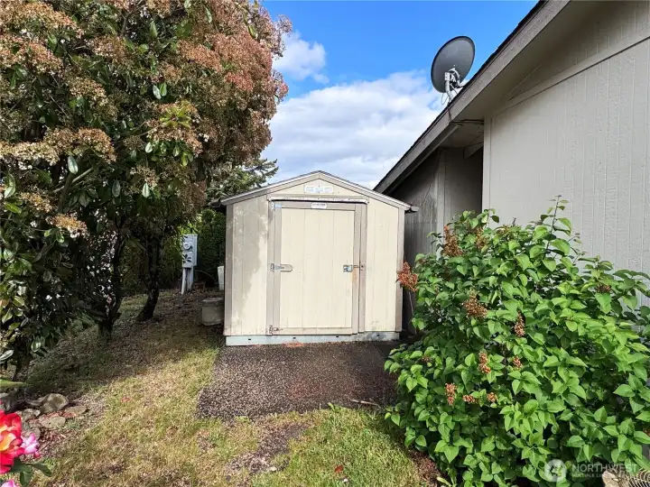 Backyard shed