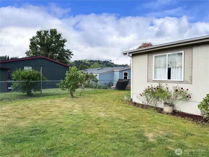 Spacious yard space