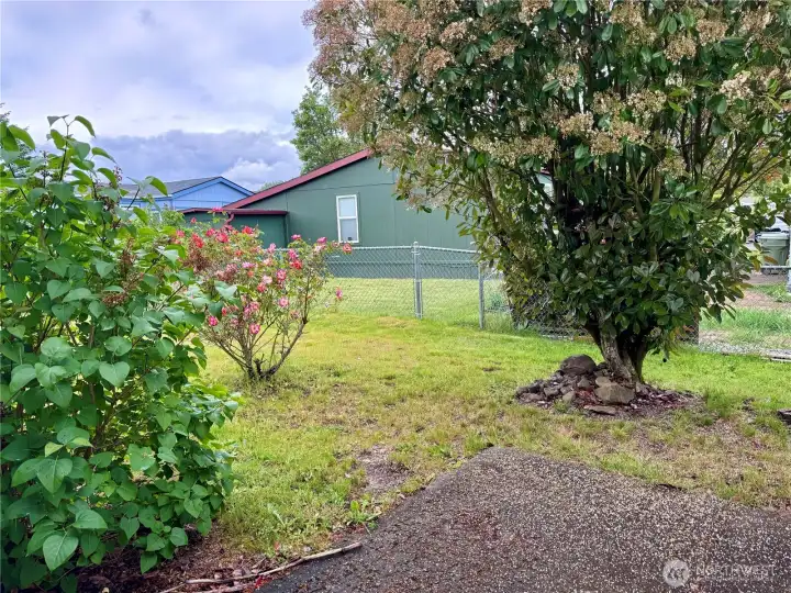 Spacious yard space