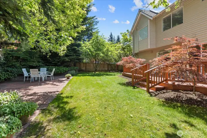 Sun Drenched Backyard