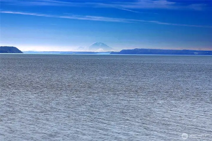 True South Facing Waterfront~