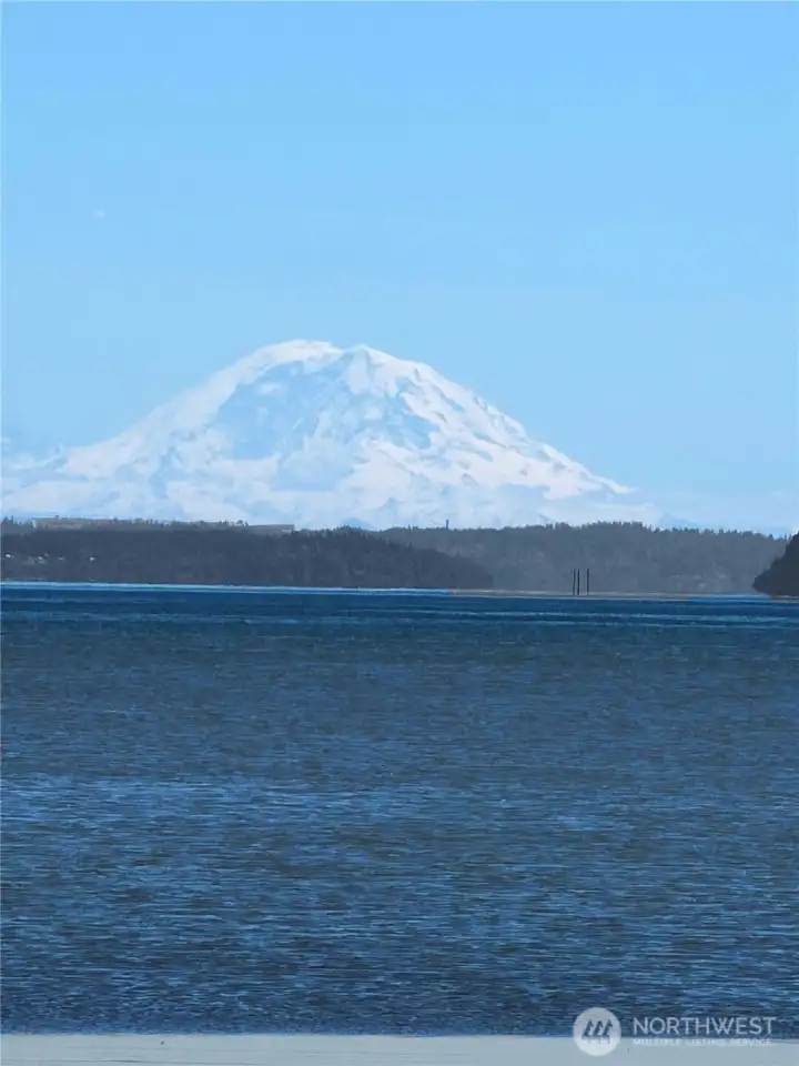 Mt. Rainier~