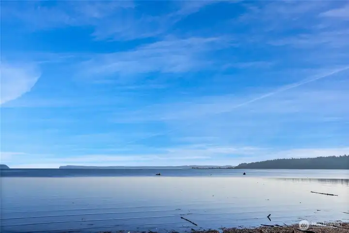 Shallow Bay with Warm Summer Water for Paddling, Swimming and Crabbing with the Tide, and thousands of Waterfowl and Herons in the Fall Passing Through~