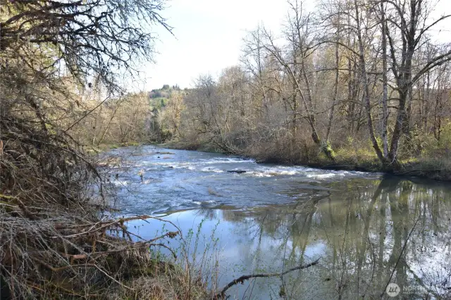 Waterfront & Rapids