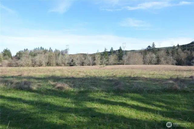 Pasture / Acreage
