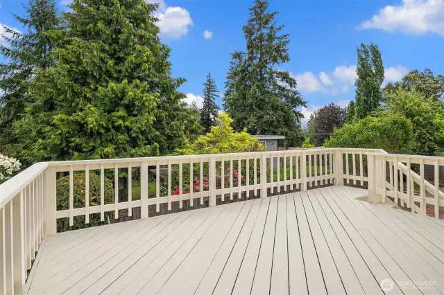 Freshly painted expansive deck, perfect for outdoor living.