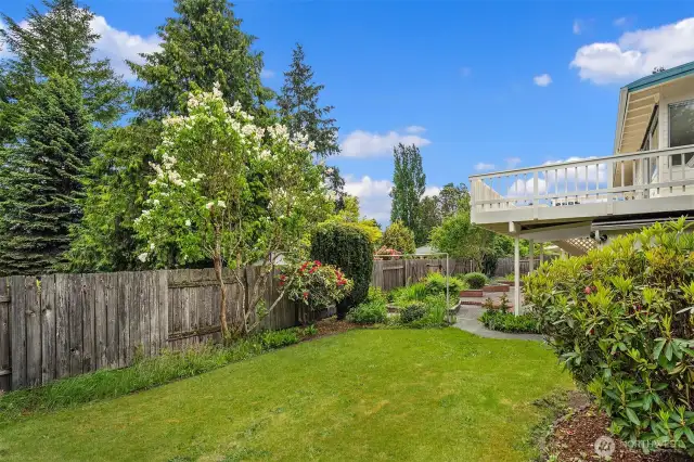 Yard has been recently landscaped.