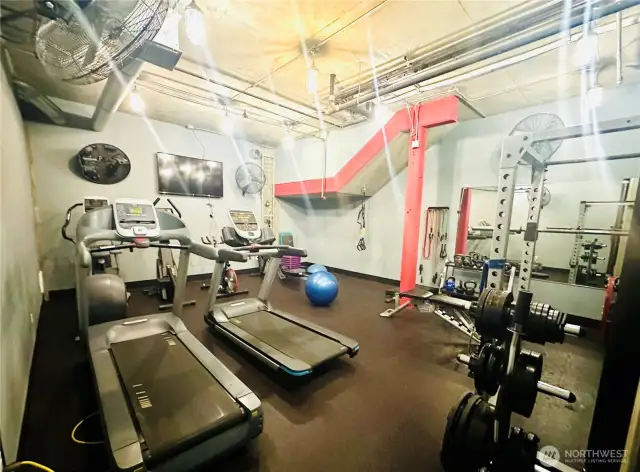 Gymnasium