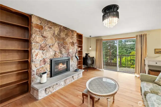 Cozy Gas Fireplace