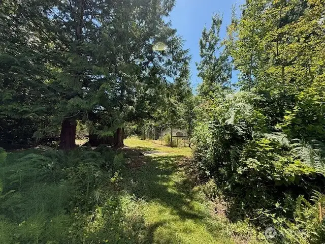Path to Garden and Garden Shed