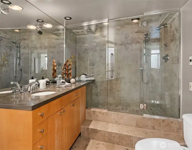 Spectacular shower in primary bath
