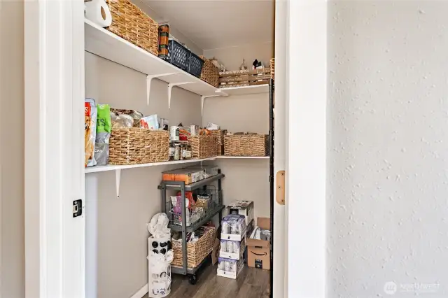 Large Walk-In Pantry
