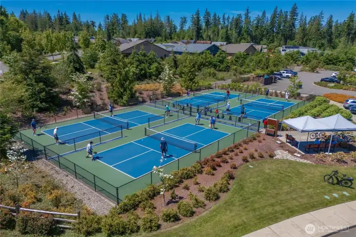 Now 6 Pickleball courts to enjoy!