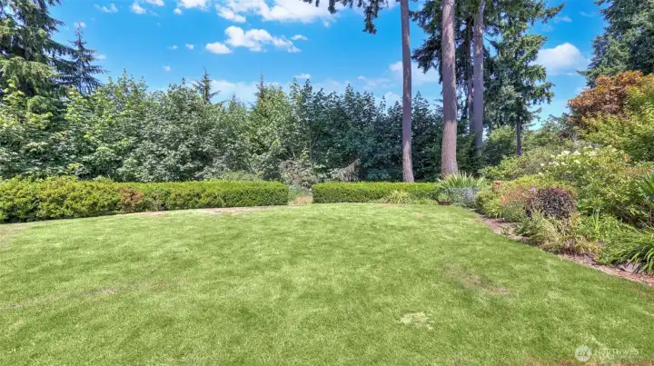Enjoy your own private outdoor retreat surrounded by towering evergreens and natural beauty.