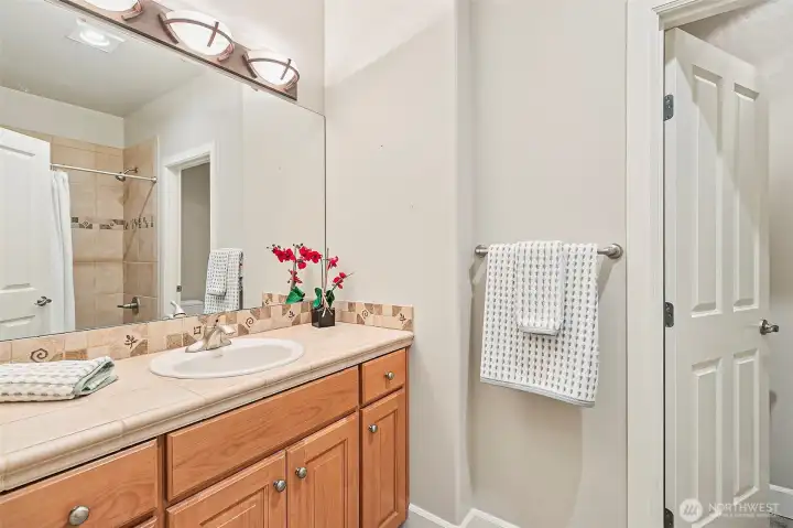 Lower level full bath- perfect for your overnight guests.