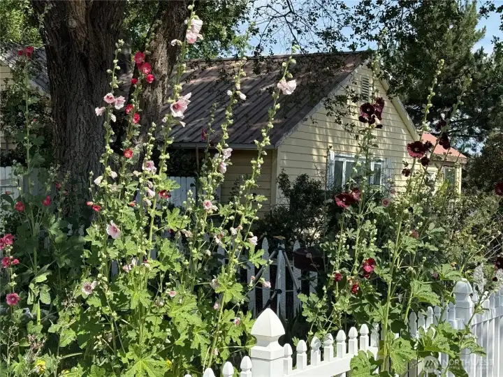 Your own little piece of Green Lush Paradise in the drylands of Eastern WA