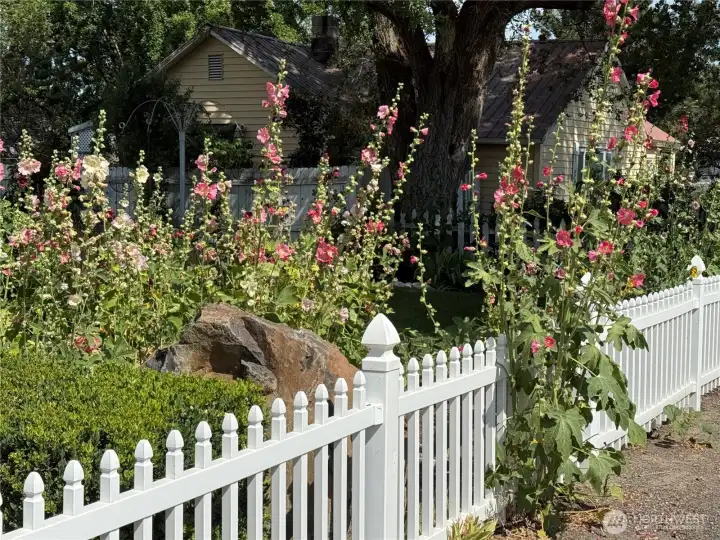 Apple, Pear, Apricot trees. Wine Grapes.