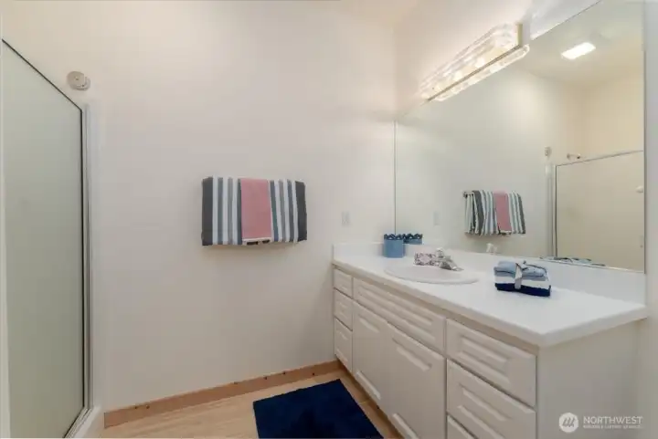 Guest Bath Main level