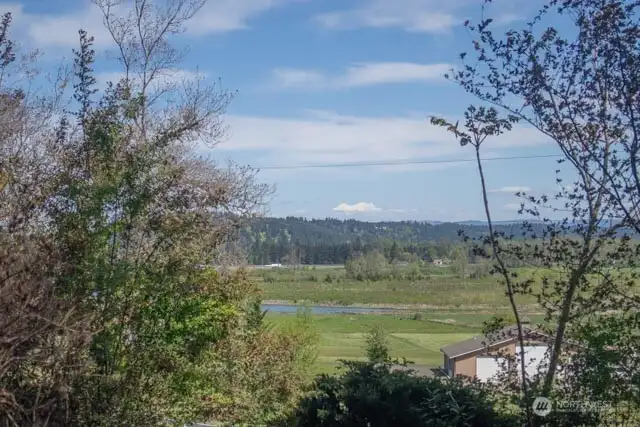 View of Mt Rainier from yard