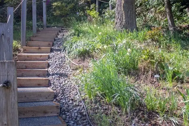 one stair case into hillside