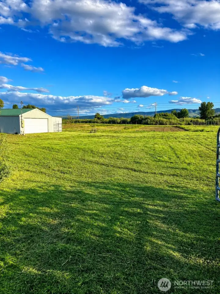 Looking across the property from the north side